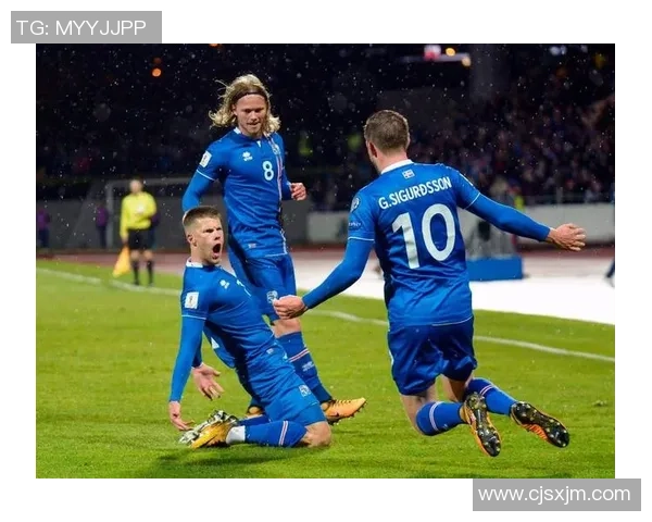 法国与冰岛欧洲杯预选赛精彩集锦回顾与分析